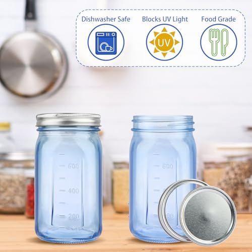 Sturdy 6-Pack Mason Jars for Fermenting Storing