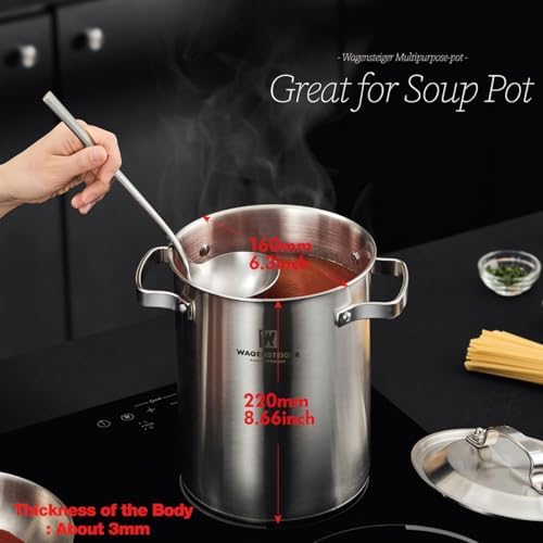 WAGENSTEIGER Premium Stainless Steel Asparagus Steamer with Spaghetti Stovetop Cooker