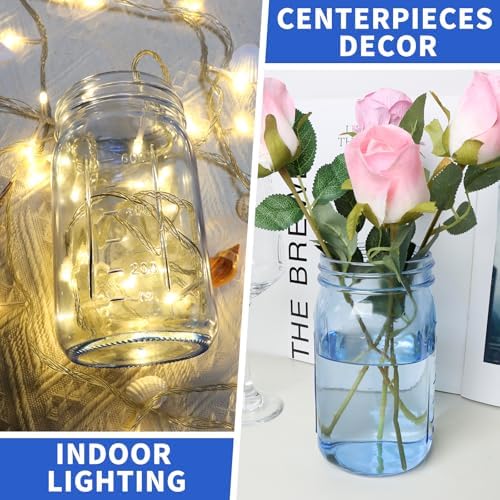 Sturdy 6-Pack Mason Jars for Fermenting Storing
