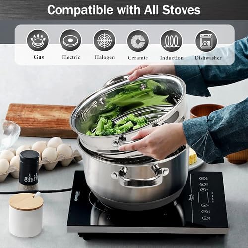 Aufranc 4-Qt Steamer Pot