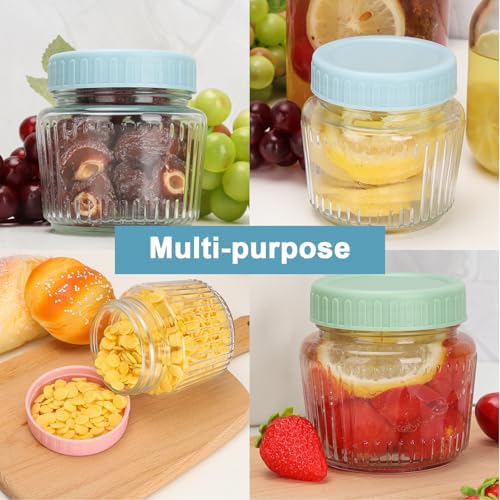 Cehomi 8 oz Mason Jars with lids