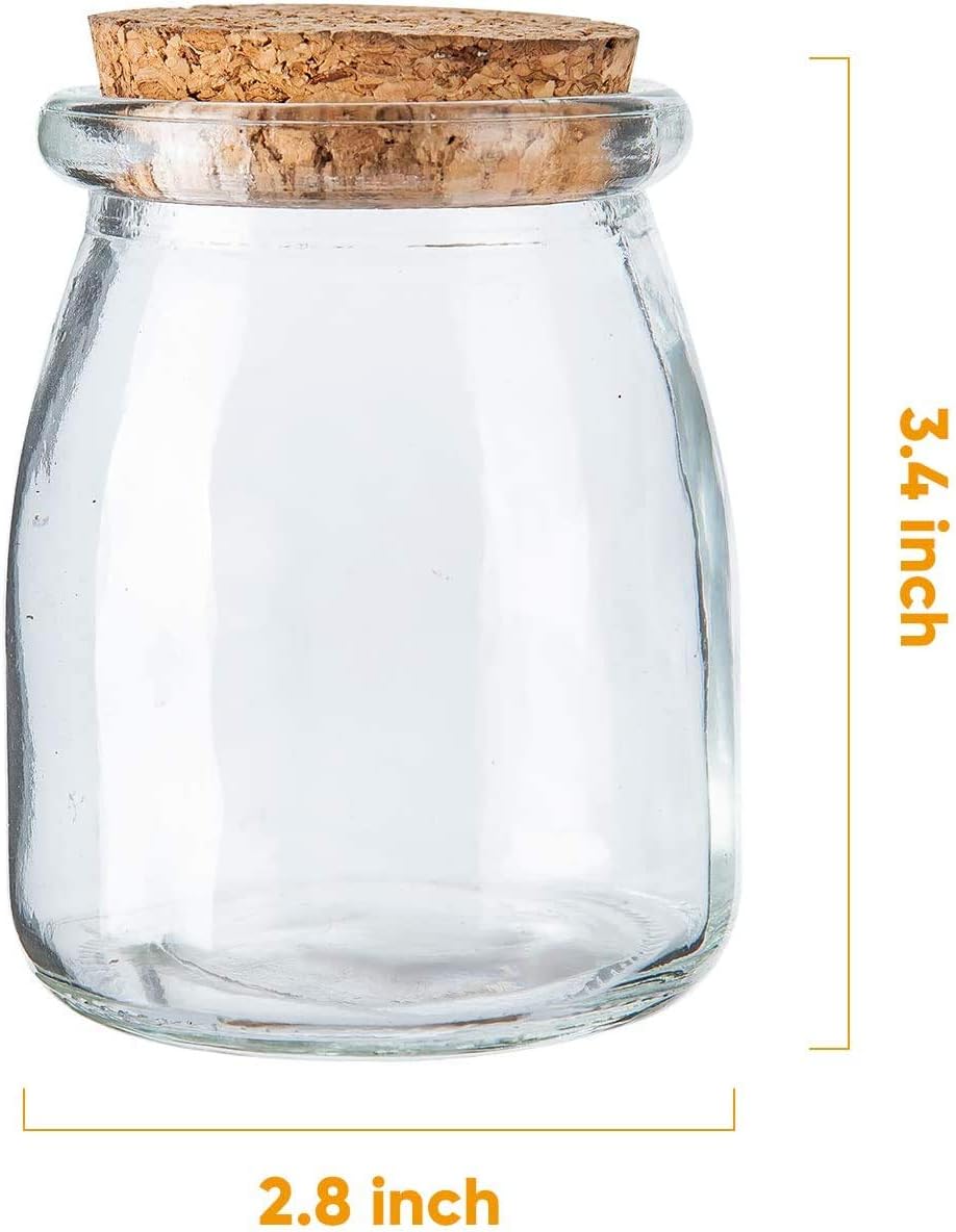 Brajttt Mini Glass Jars Set 40PCS 7oz Perfect for Storage PreserveNature