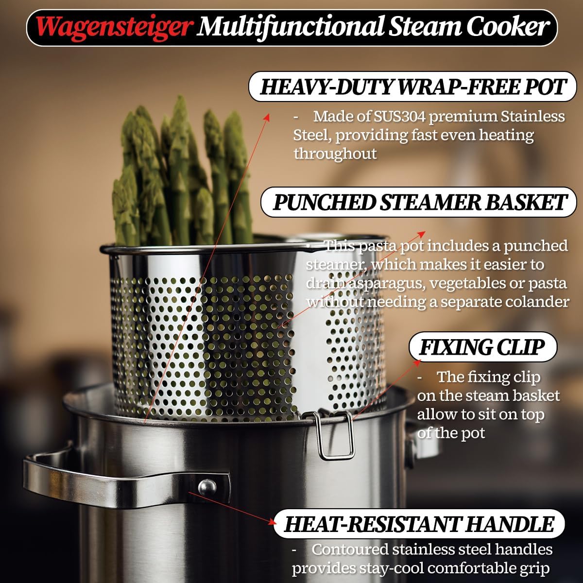 WAGENSTEIGER Premium Stainless Steel Asparagus Steamer with Spaghetti Stovetop Cooker