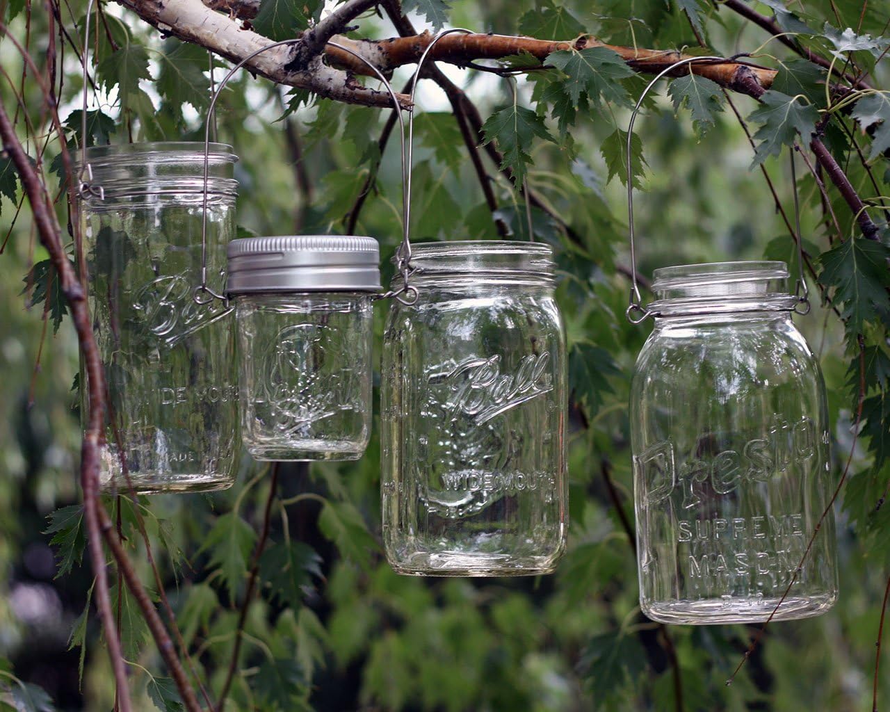 Stainless Steel Mason Jar Handles x6 Pack